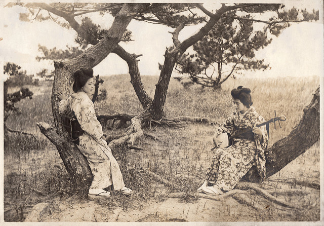 The Shamisen Player by Alan